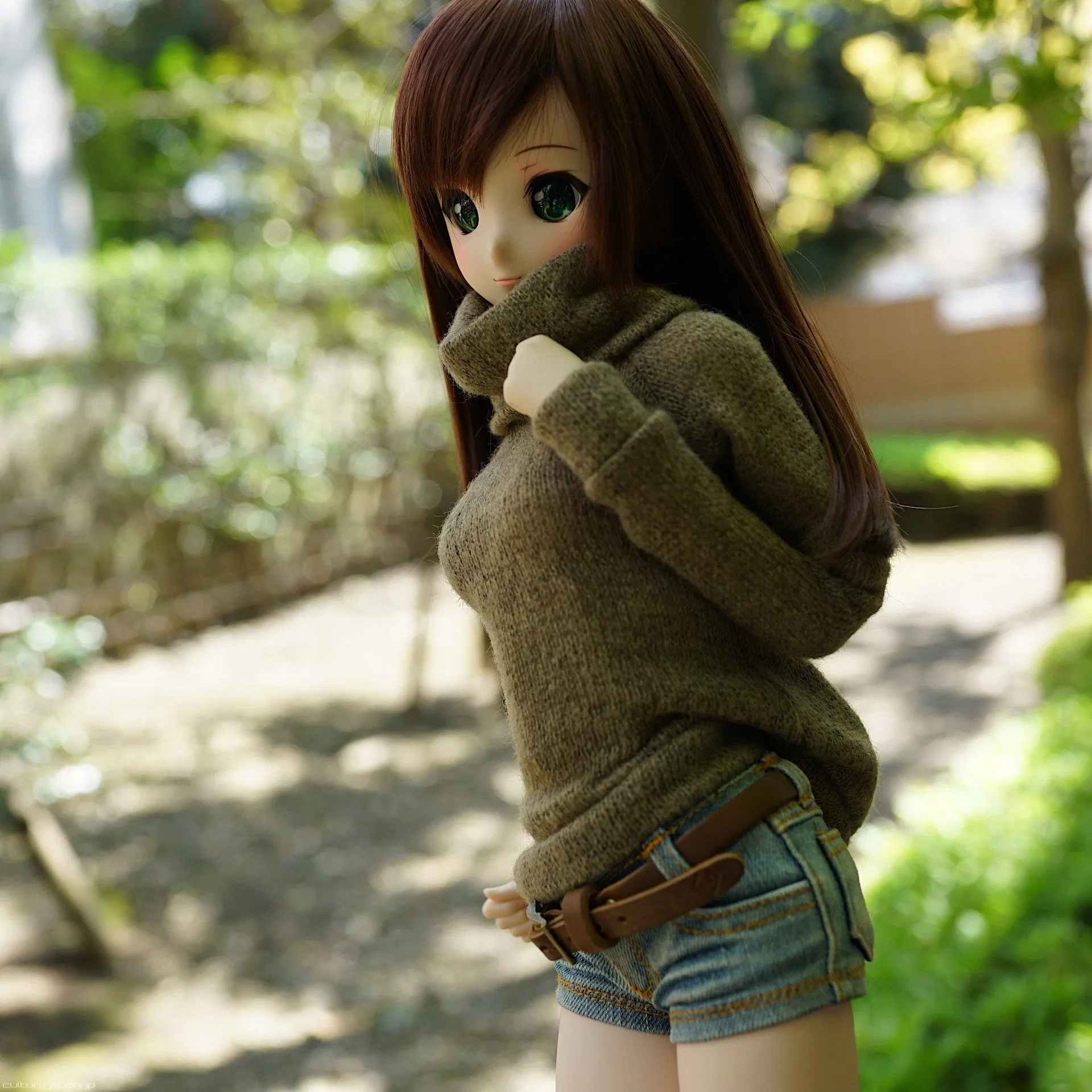 Knit Sweater (Coffee)